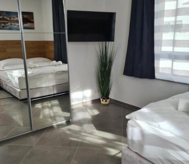 Hofherrnweiler House | WellandHome Aalen - 6 Rooms