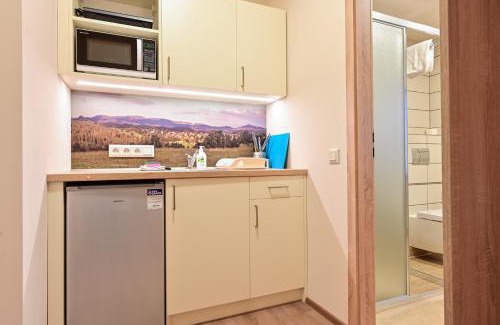 Kolova Apartment | Wellness pobyt na Včelí lázně - ApiSpa - apiterapeut-cz - 5 procedur