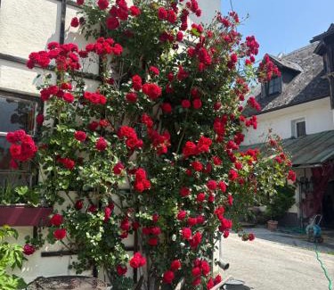 Admont Bed & Breakfast | Wengerwirt zur Laube rustical "Blue"