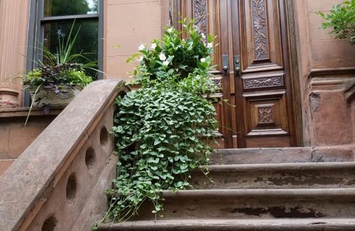 Central Park North Bed & Breakfast | West 119th Guest Suites