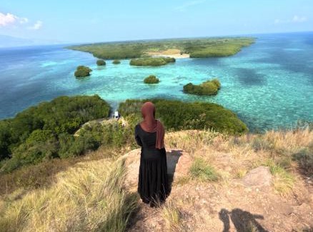 Sumbawa Boat Rental | Whaleshark open trip