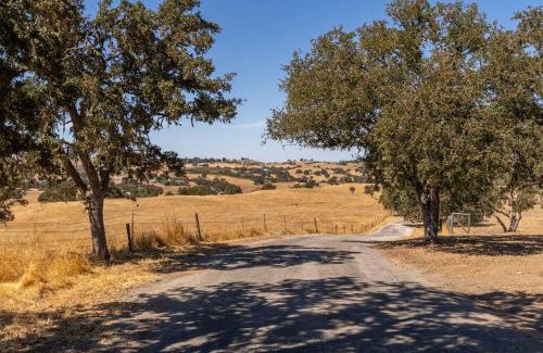 Paso Robles Villa | Whispering Oaks Manor-Pets Ok, Spa, Game room