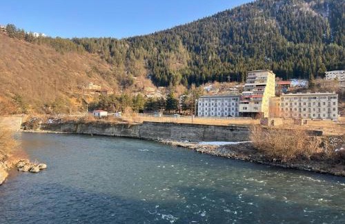 Akhali Ubani Apartment | White House Apartments in Borjomi