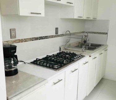 Ciudad Sahagun Apartment | White House