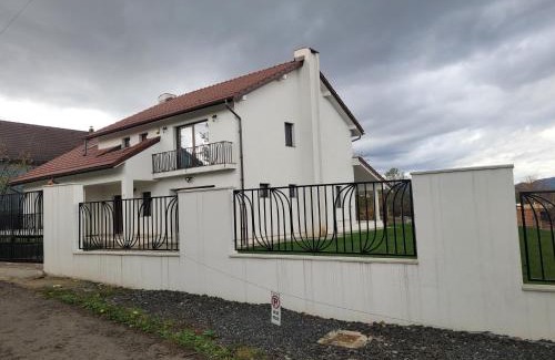 Baia-Sprie Villa | White House