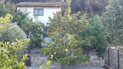 Limni House | White Manolia Cottage