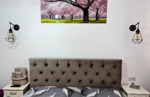 Campulung Moldovenesc Apartment | White Studio