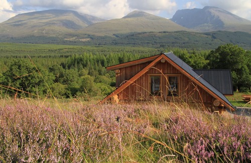 Banavie Cabin | Wild Nurture Luxury Eco Log Cabin