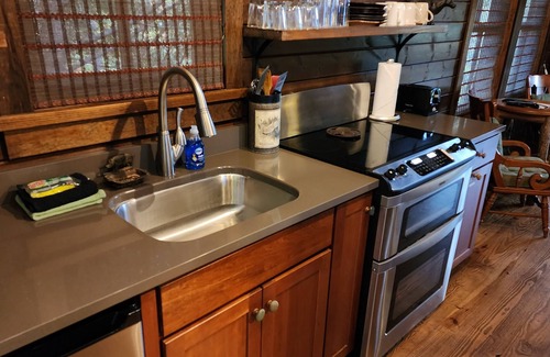 Cheshire Cabin | Wild Turkey’s Roost | Cozy Cabin w/Fireplace + Biltmore Pass
