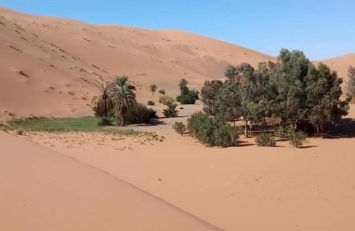 Hassilabied Bed & Breakfast | Wilderness Lodge Tours