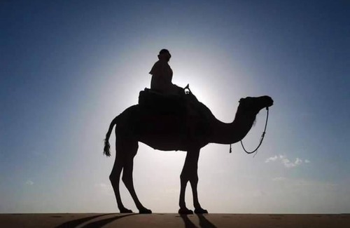 Hassilabied Bed & Breakfast | Wilderness Lodge Tours