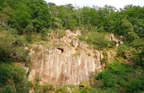 Rimbach Other | Wildkamp Resort Zelten in der freien Natur (Wiese Wald)