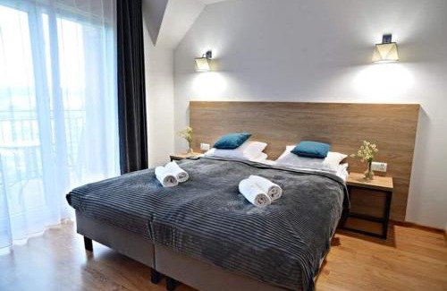 Polanczyk House | Willa Domiwera