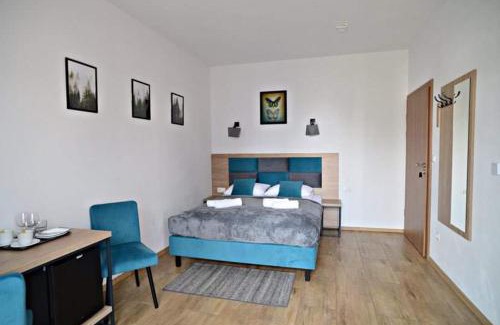 Polanczyk House | Willa Domiwera