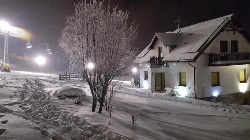 Zieleniec House | Willa Monika Zieleniec