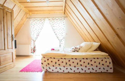 Zakopane Apartment | Willa u Bohuna Jacuzzi & Sauna