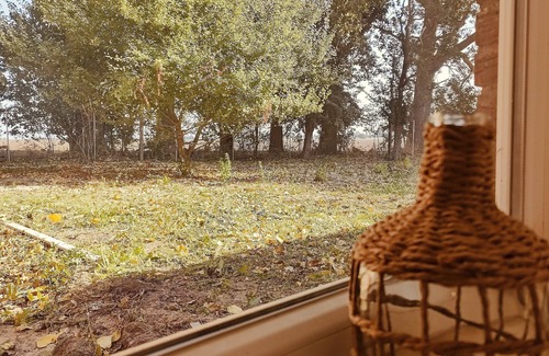 Saal Apartment | Willkommen in der Weite