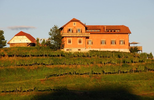 Podlehnik House | Wine Estate on a Private Hill - Luxury with character for 15+