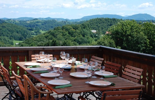 Podlehnik House | Wine Estate on a Private Hill - Luxury with character for 15+