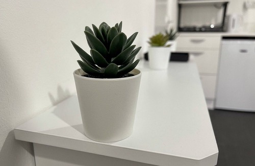 Lee Green Apartment | Wisteria Studio