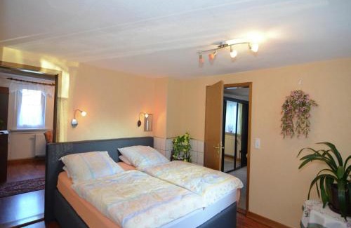 Neustadt am Rennsteig Apartment | Wohnung in Neustadt nahe Skilift & Loipen