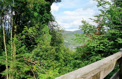 Thiefosse House | Wonderful private villa for 12 people with WIFI, TV, patio and pets allowed
