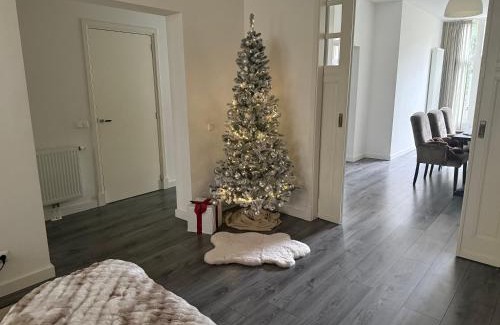 Delfshaven Villa | Woonhuis 170m2 Rotterdam Centrum