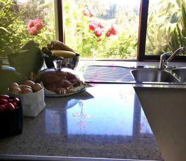 Forest Range Apartment | Wyndbourne Park