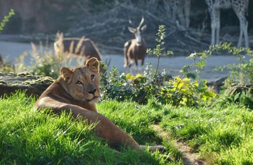 Gross Buchholz Hotel | Wyndham Hannover Atrium