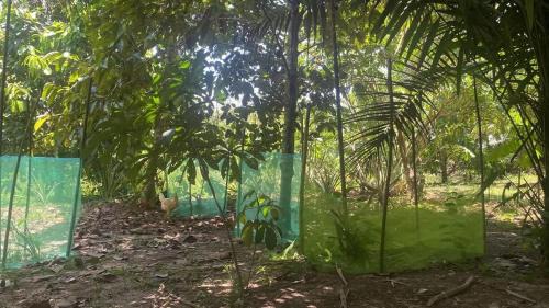 Punchana House | YAKU albergue y camping