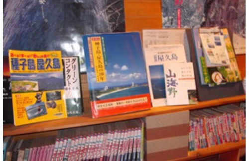 Miyanoura House | Yakushima Park Guesthouse