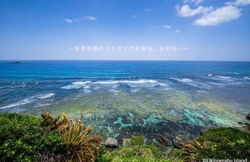 Yakushima House | Yakushima Umigame house 屋久島 海がめの里 蘭亭