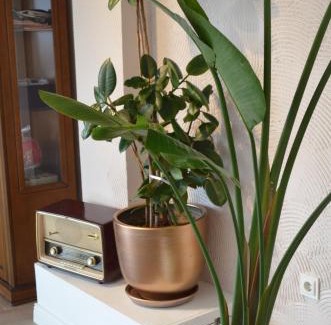 Cekirge Mahallesi Bed & Breakfast | Yankı Hotel