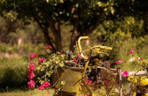 Molos Apartment | Yellow Bike House