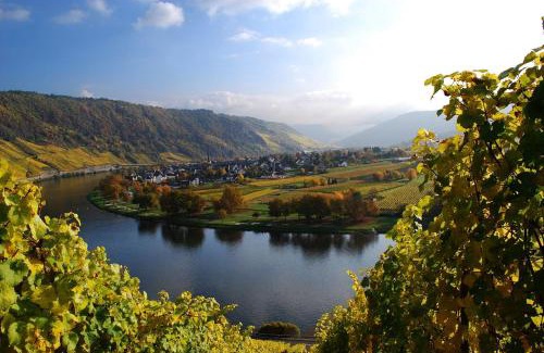 Traben-Trarbach Apartment | York Cottage Garden