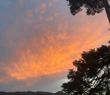 Akhali Ubani Apartment | Your Cottage