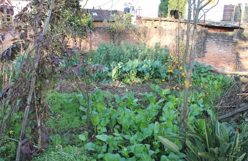 Dhapakhel House | your home in Nepal at peace place with best view at Dhapakahle Nepal.