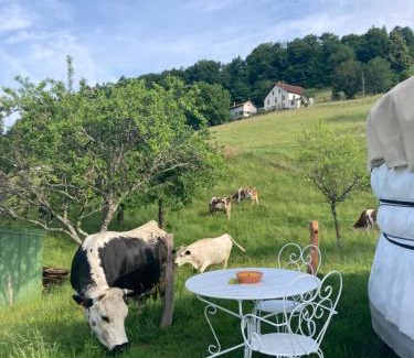 Ramonchamp Other | Yourte à la ferme