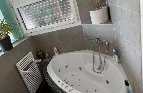 Wollishofen House | Zürichsee, Privatzimmer atemberaubender Aussicht