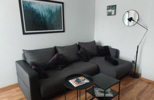 Boguszow-Gorce Apartment | Z widokiem na Dzikowiec