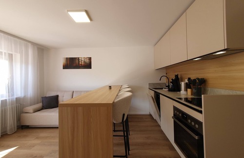Hinterzarten Apartment | Zartenbach Suite Two + Hochschwarzwald Card