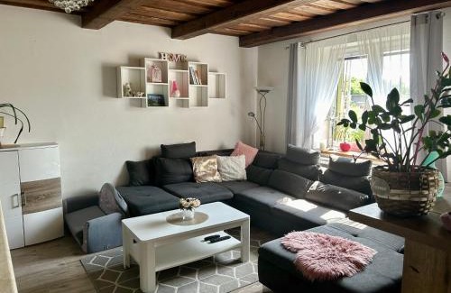 Letanovce House | Zelený dom v raji