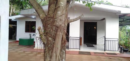Imbulpe Villa | Zenith Villa Balangoda