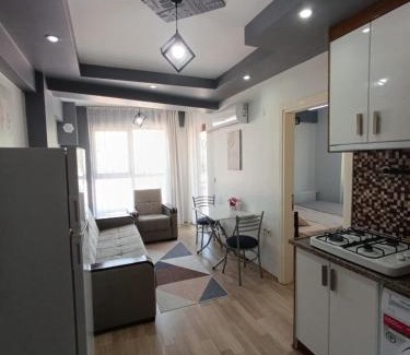 Bagbasi Apartment | Zeytin Apart 1