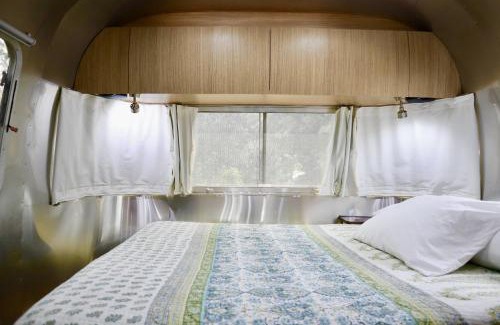 Myrtle Grove House | Ziggys Place