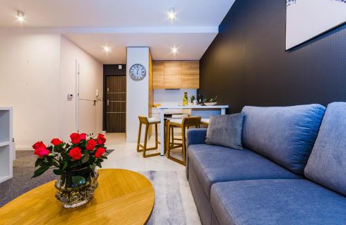Rzeszow Apartment | Zigzak Apartments Superior 9C