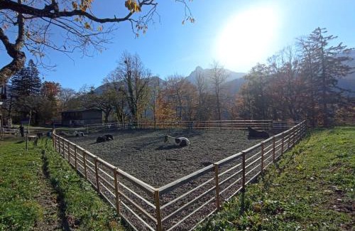 Bartholomaeberg Apartment | Zom Ruaba