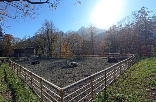 Bartholomaeberg Apartment | Zom Ruaba