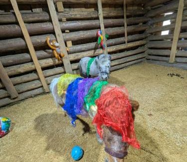 Bartholomaeberg Apartment | Zom Ruaba