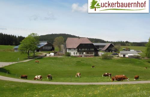Sankt Georgen im Schwarzwald House | Zuckerbauernhof-Ferien in der Natur